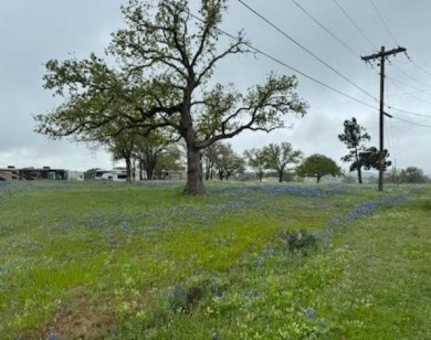 Golf course lots. This is the place to be if you want great on Lighthouse Golf Course in Texas - for sale on GolfHomes.com, golf home, golf lot