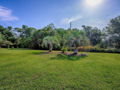 One or more photo(s) has been virtually staged. SELLER SAYS SELL on Eagle Ridge At Spruce Creek Country Club in Florida - for sale on GolfHomes.com, golf home, golf lot