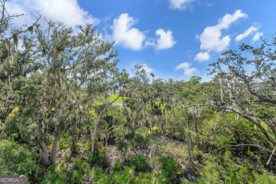 The view of Jekyll Harbor takes center stage in this 3 bedroom 3 on Jekyll Island Golf Club in Georgia - for sale on GolfHomes.com, golf home, golf lot