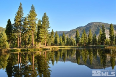 This very large parcel is also one of the most private, nicely on Clear Creek Tahoe in Nevada - for sale on GolfHomes.com, golf home, golf lot