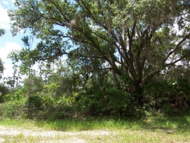 This beautiful 1/2-acre lot is on the Main Rd of this Community on Indian Lake Estates Golf and Country Club in Florida - for sale on GolfHomes.com, golf home, golf lot
