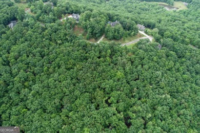 A rare chance to own a spectacular 360-degree bird's-eye view of on The Orchard Golf and Country Club in Georgia - for sale on GolfHomes.com, golf home, golf lot