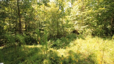 Many possibilities with this resedential lot offering 5.02 acres on The Cliffs At Keowee Vineyards Golf Club in South Carolina - for sale on GolfHomes.com, golf home, golf lot