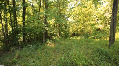 Many possibilities with this resedential lot offering 5.02 acres on The Cliffs At Keowee Vineyards Golf Club in South Carolina - for sale on GolfHomes.com, golf home, golf lot