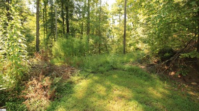 Many possibilities with this resedential lot offering 5.02 acres on The Cliffs At Keowee Vineyards Golf Club in South Carolina - for sale on GolfHomes.com, golf home, golf lot