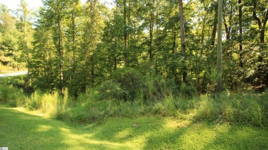Many possibilities with this resedential lot offering 5.02 acres on The Cliffs At Keowee Vineyards Golf Club in South Carolina - for sale on GolfHomes.com, golf home, golf lot
