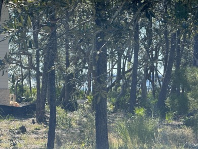 First lot off Lake Powell, VERY CLOSE TO LAKE WITH LAKE VIEWS!! on Sharks Tooth Golf Club in Florida - for sale on GolfHomes.com, golf home, golf lot