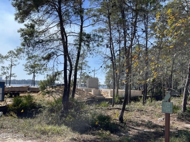First lot off Lake Powell, VERY CLOSE TO LAKE WITH LAKE VIEWS!! on Sharks Tooth Golf Club in Florida - for sale on GolfHomes.com, golf home, golf lot