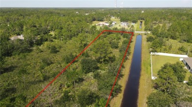 One or more photo(s) has been virtually staged. Pre-Construction on Wedgefield Golf Club in Florida - for sale on GolfHomes.com, golf home, golf lot