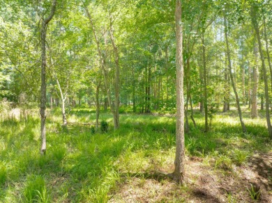 Set along the tranquil 12th green of the prestigious Jack on Great Waters Course At Reynolds Plantation in Georgia - for sale on GolfHomes.com, golf home, golf lot