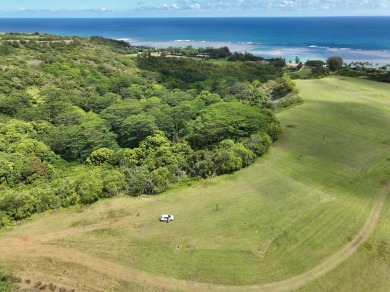 Oceanside Ranch 54 is a spectacular 4-acre property within the on Princeville Golf Resort in Hawaii - for sale on GolfHomes.com, golf home, golf lot