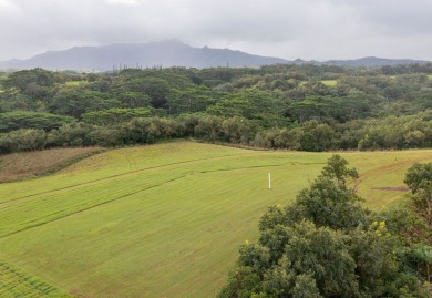 Oceanside Ranch 54 is a spectacular 4-acre property within the on Princeville Golf Resort in Hawaii - for sale on GolfHomes.com, golf home, golf lot