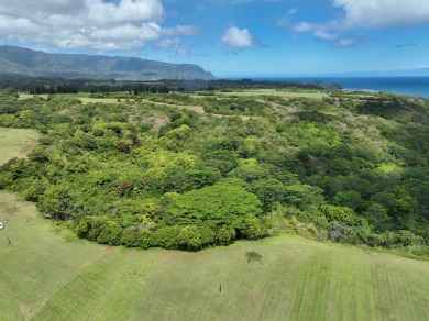 Oceanside Ranch 54 is a spectacular 4-acre property within the on Princeville Golf Resort in Hawaii - for sale on GolfHomes.com, golf home, golf lot