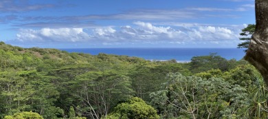 Oceanside Ranch 54 is a spectacular 4-acre property within the on Princeville Golf Resort in Hawaii - for sale on GolfHomes.com, golf home, golf lot