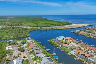 Welcome to Apollo Beach Living!
Nestled in the desirable Golf on Apollo Beach Golf and Sea Club in Florida - for sale on GolfHomes.com, golf home, golf lot