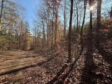 This beautiful property could be the perfect site for your dream on Hidden Falls At Mt. Airy Golf in Tennessee - for sale on GolfHomes.com, golf home, golf lot