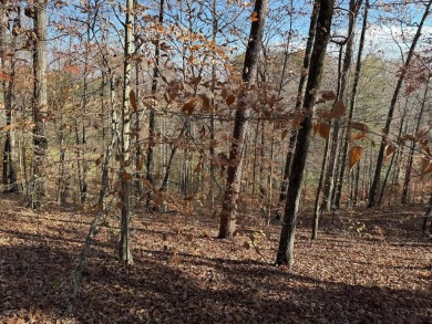 This beautiful property could be the perfect site for your dream on Hidden Falls At Mt. Airy Golf in Tennessee - for sale on GolfHomes.com, golf home, golf lot