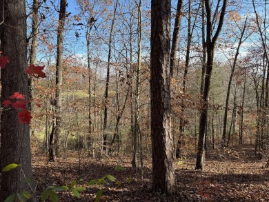 This beautiful property could be the perfect site for your dream on Hidden Falls At Mt. Airy Golf in Tennessee - for sale on GolfHomes.com, golf home, golf lot