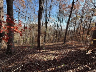 This beautiful property could be the perfect site for your dream on Hidden Falls At Mt. Airy Golf in Tennessee - for sale on GolfHomes.com, golf home, golf lot