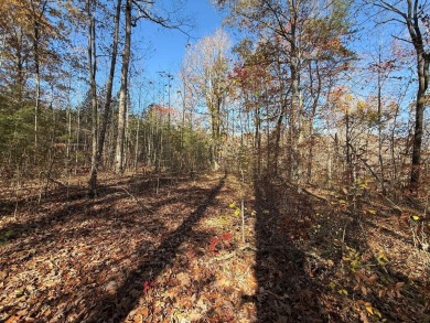 This beautiful property could be the perfect site for your dream on Hidden Falls At Mt. Airy Golf in Tennessee - for sale on GolfHomes.com, golf home, golf lot