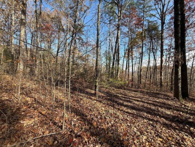 This beautiful property could be the perfect site for your dream on Hidden Falls At Mt. Airy Golf in Tennessee - for sale on GolfHomes.com, golf home, golf lot