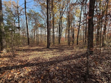 This beautiful property could be the perfect site for your dream on Hidden Falls At Mt. Airy Golf in Tennessee - for sale on GolfHomes.com, golf home, golf lot