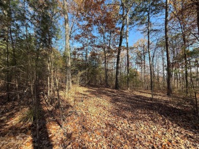 This beautiful property could be the perfect site for your dream on Hidden Falls At Mt. Airy Golf in Tennessee - for sale on GolfHomes.com, golf home, golf lot