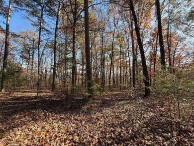 This beautiful property could be the perfect site for your dream on Hidden Falls At Mt. Airy Golf in Tennessee - for sale on GolfHomes.com, golf home, golf lot