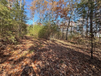 This beautiful property could be the perfect site for your dream on Hidden Falls At Mt. Airy Golf in Tennessee - for sale on GolfHomes.com, golf home, golf lot