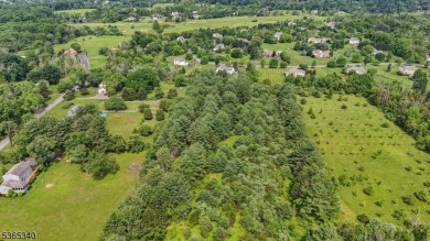 Build Your Dream Home! Rare opportunity to own 4.07 stunning on Stanton Ridge Golf and Country Club in New Jersey - for sale on GolfHomes.com, golf home, golf lot
