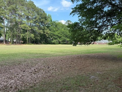 BEAUTIFUL CUSTOM BUILT HOME WITH SOME REALLY UNIQUE FEATURES on The Links At Lakewood in South Carolina - for sale on GolfHomes.com, golf home, golf lot