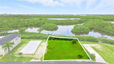 Build your dream home on this one-of-a-kind waterfront lot in on Pelicans Nest Golf Club in Florida - for sale on GolfHomes.com, golf home, golf lot
