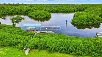 Build your dream home on this one-of-a-kind waterfront lot in on Pelicans Nest Golf Club in Florida - for sale on GolfHomes.com, golf home, golf lot