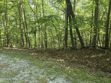 Approximately 2 .5 acre golf course lot with privacy yet still on Stonehenge Golf Course in Tennessee - for sale on GolfHomes.com, golf home, golf lot