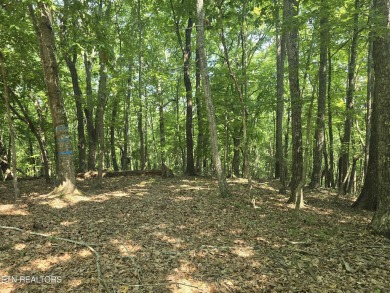 Approximately 2 .5 acre golf course lot with privacy yet still on Stonehenge Golf Course in Tennessee - for sale on GolfHomes.com, golf home, golf lot