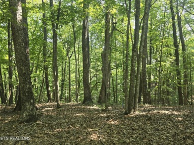 Approximately 2 .5 acre golf course lot with privacy yet still on Stonehenge Golf Course in Tennessee - for sale on GolfHomes.com, golf home, golf lot