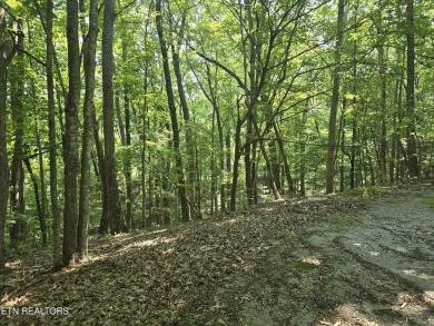Approximately 2 .5 acre golf course lot with privacy yet still on Stonehenge Golf Course in Tennessee - for sale on GolfHomes.com, golf home, golf lot