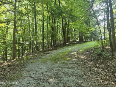 Approximately 2 .5 acre golf course lot with privacy yet still on Stonehenge Golf Course in Tennessee - for sale on GolfHomes.com, golf home, golf lot