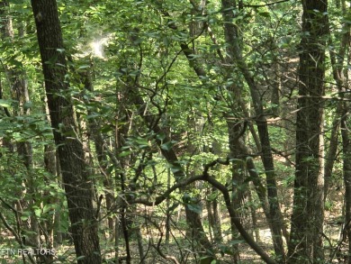 Approximately 2 .5 acre golf course lot with privacy yet still on Stonehenge Golf Course in Tennessee - for sale on GolfHomes.com, golf home, golf lot