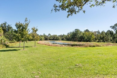 Beautiful 5 bed 3.5 bath 2-car garage craftsman in the highly on Harmony Golf Preserve in Florida - for sale on GolfHomes.com, golf home, golf lot