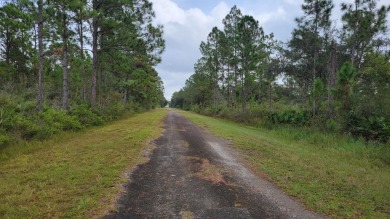 Welcome to this great community Indian Lakes Estates . 1 hour on Indian Lake Estates Golf and Country Club in Florida - for sale on GolfHomes.com, golf home, golf lot