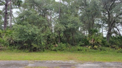 Welcome to this great community Indian Lakes Estates . 1 hour on Indian Lake Estates Golf and Country Club in Florida - for sale on GolfHomes.com, golf home, golf lot