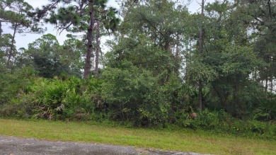 Welcome to this great community Indian Lakes Estates . 1 hour on Indian Lake Estates Golf and Country Club in Florida - for sale on GolfHomes.com, golf home, golf lot