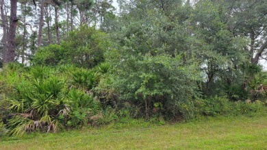 Welcome to this great community Indian Lakes Estates . 1 hour on Indian Lake Estates Golf and Country Club in Florida - for sale on GolfHomes.com, golf home, golf lot