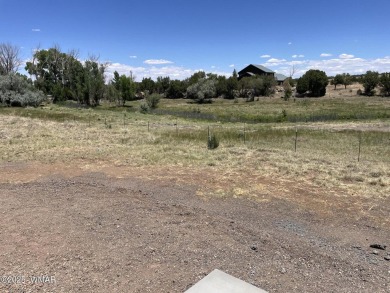 Beautiful new home on the abandoned golf course, which is now a on Concho Valley Country Club in Arizona - for sale on GolfHomes.com, golf home, golf lot