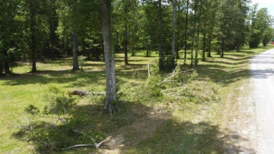 One of the last remaining lots up for sale in this newer on Ville Platte Golf and Country Club in Louisiana - for sale on GolfHomes.com, golf home, golf lot