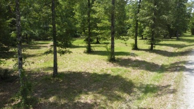 One of the last remaining lots up for sale in this newer on Ville Platte Golf and Country Club in Louisiana - for sale on GolfHomes.com, golf home, golf lot
