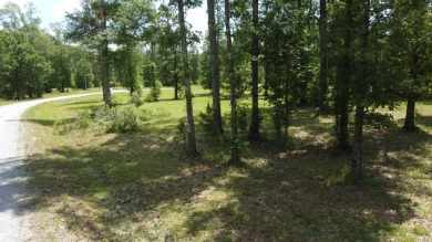 One of the last remaining lots up for sale in this newer on Ville Platte Golf and Country Club in Louisiana - for sale on GolfHomes.com, golf home, golf lot