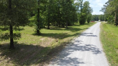 One of the last remaining lots up for sale in this newer on Ville Platte Golf and Country Club in Louisiana - for sale on GolfHomes.com, golf home, golf lot