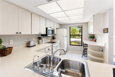 Beautiful Golf & Lake View Condo in The Meadows - Turnkey and on The Meadows Golf and Country Club in Florida - for sale on GolfHomes.com, golf home, golf lot